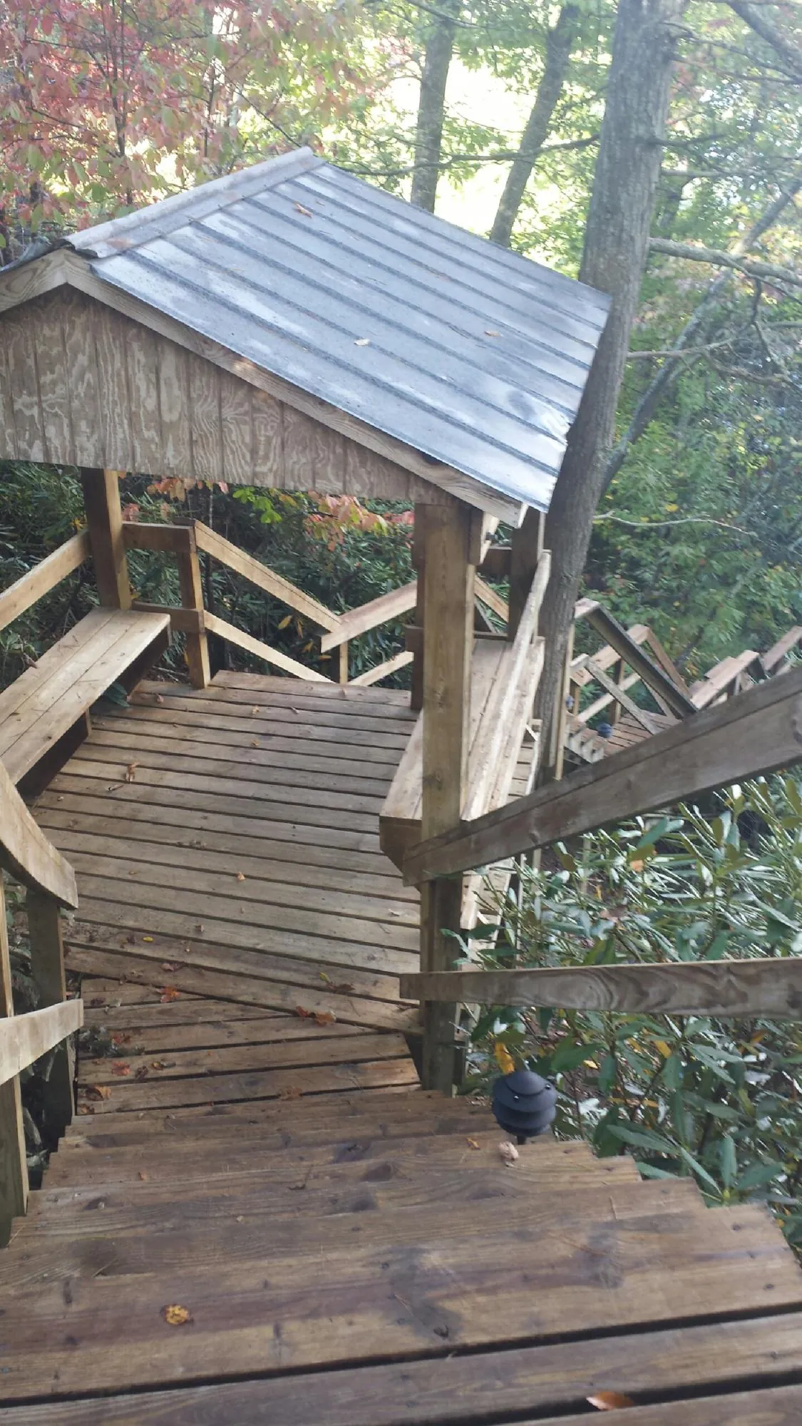 Metal roofed shelter over wooden steps on a wooded walkway — Skylight Repair & Installation work by our crew in Tigrett